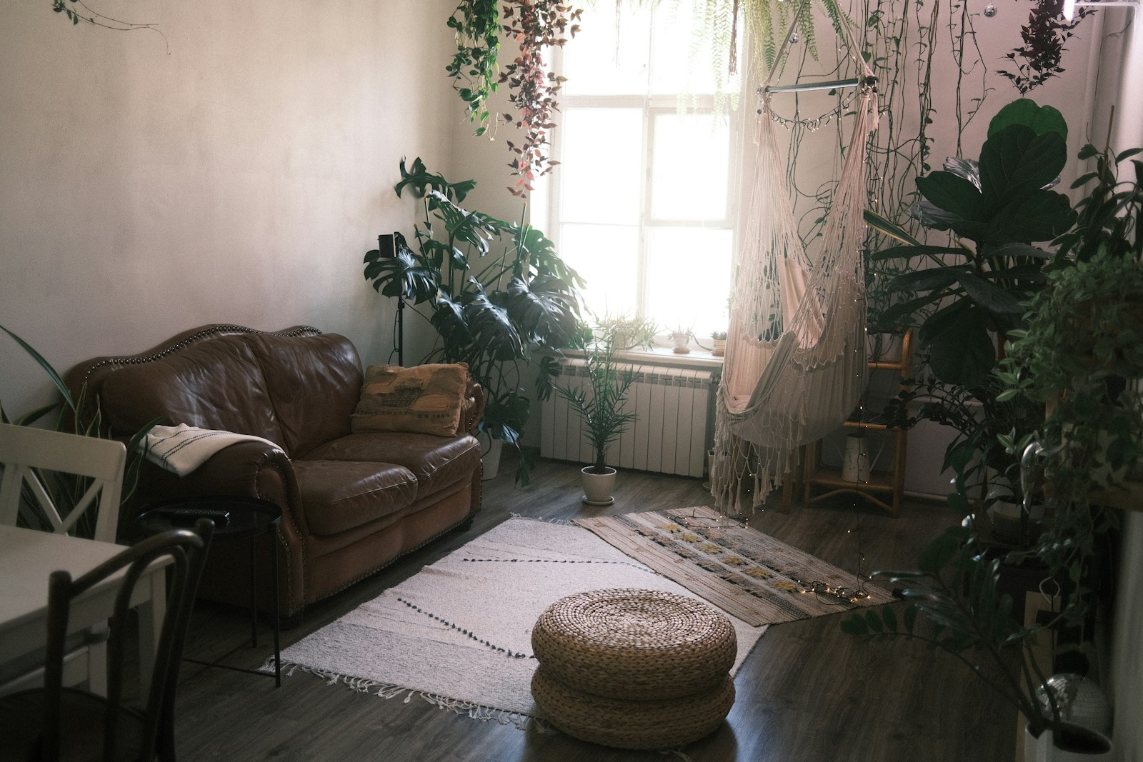 A bright living room with a leather couch, a woven rug and many potted plants by a tall window